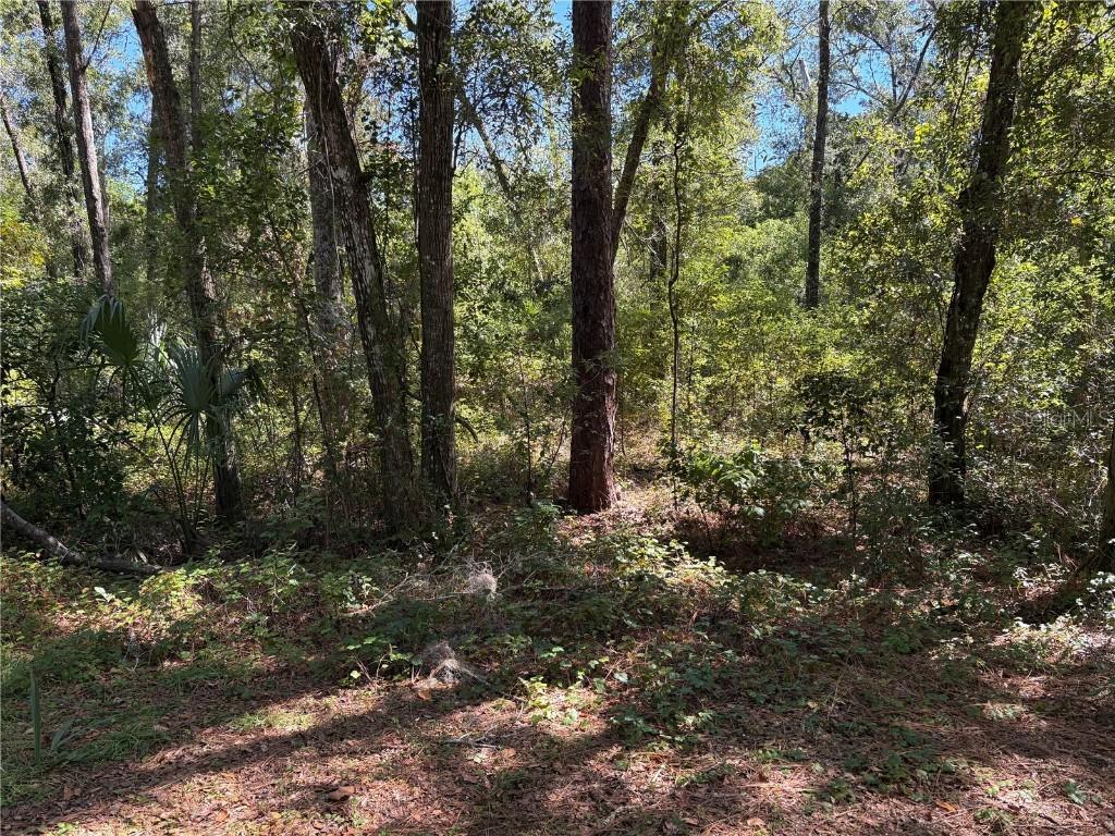 1222 Clover Ter., Inverness, FL 34452