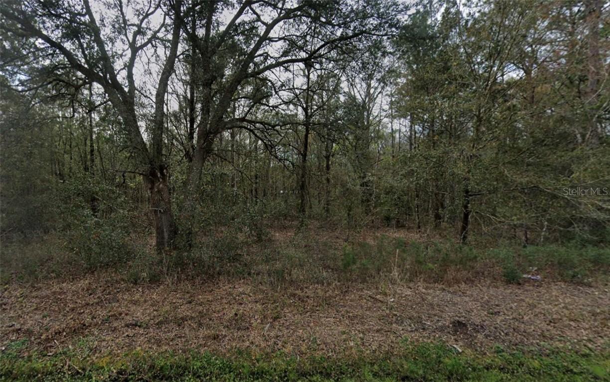 4775 Inez St., Hastings, FL 32145