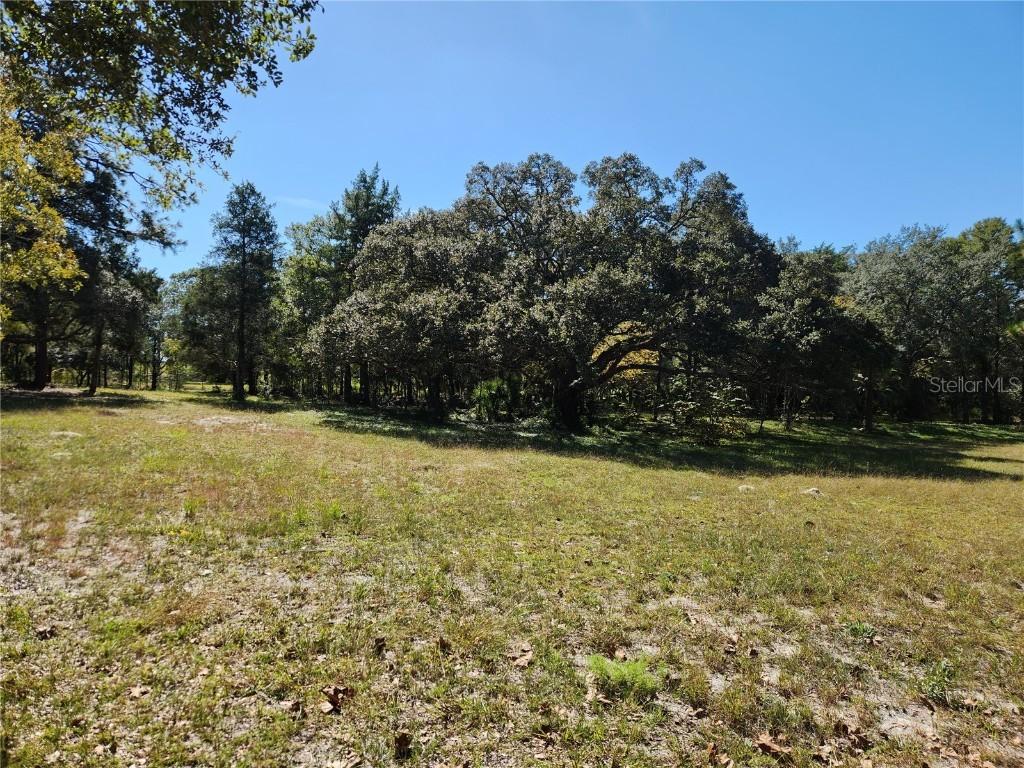 0000 Roos Ln., Deland, FL 32724