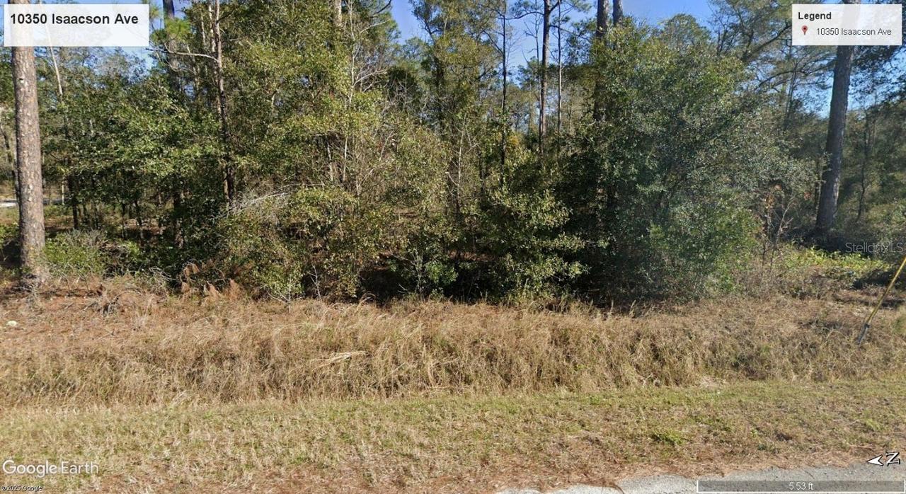 10350 Isaacson Ave., Hastings, FL 32145