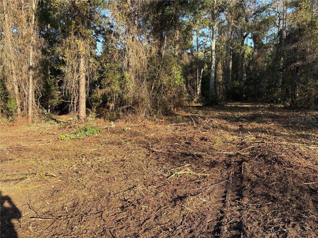 1881 Hazelnut St., Bunnell, FL 32110