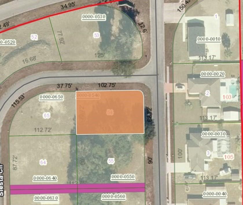 000 104 Village Dr., Welaka, FL 32193