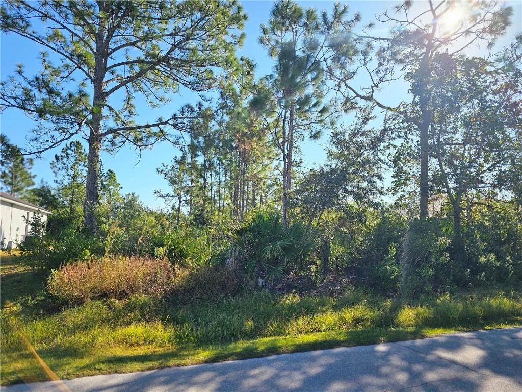 29 Roxton Ln., Palm Coast, FL 32164