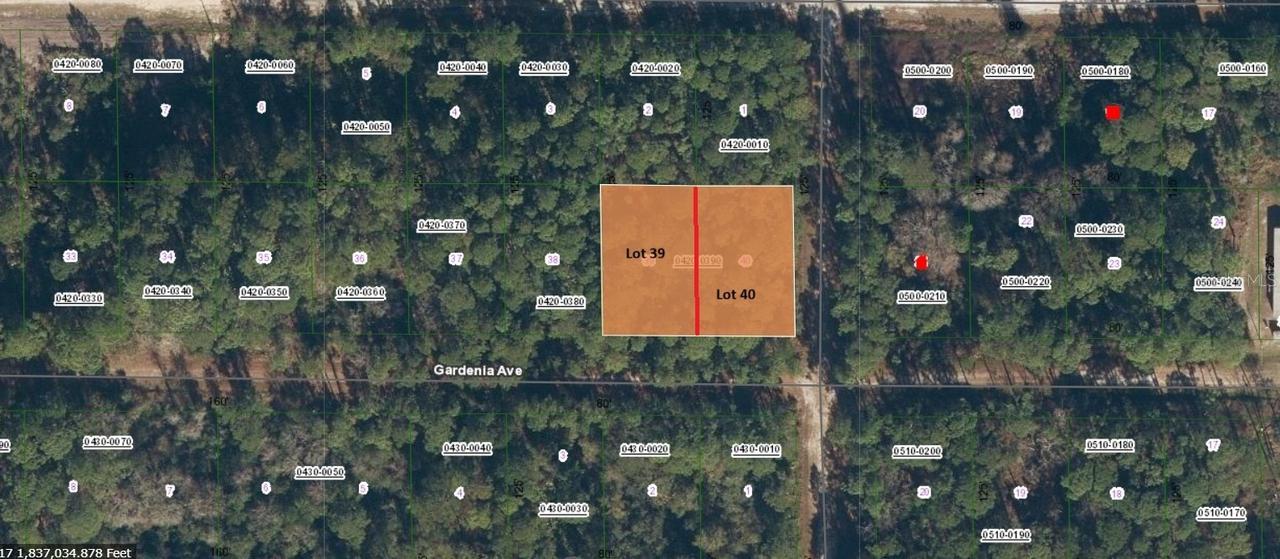 336 Gardenia Ave., Georgetown, FL 32139