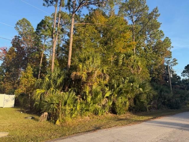 9 Pinelark Ln., Palm Coast, FL 32164