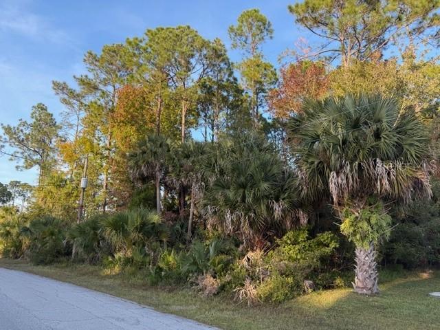 11 Pinelark Ln., Palm Coast, FL 32164