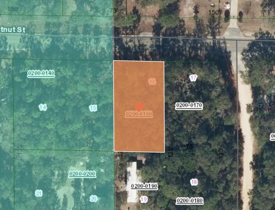 113 Chestnut St., Interlachen, FL 32148