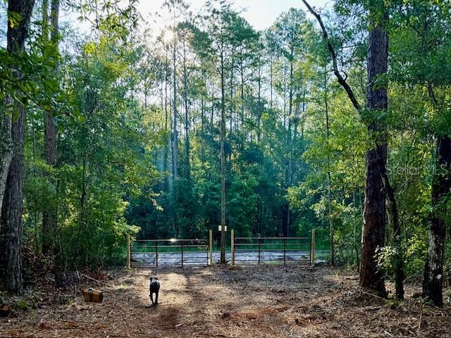 10535 Flikkema Ave, Hastings, FL 32145