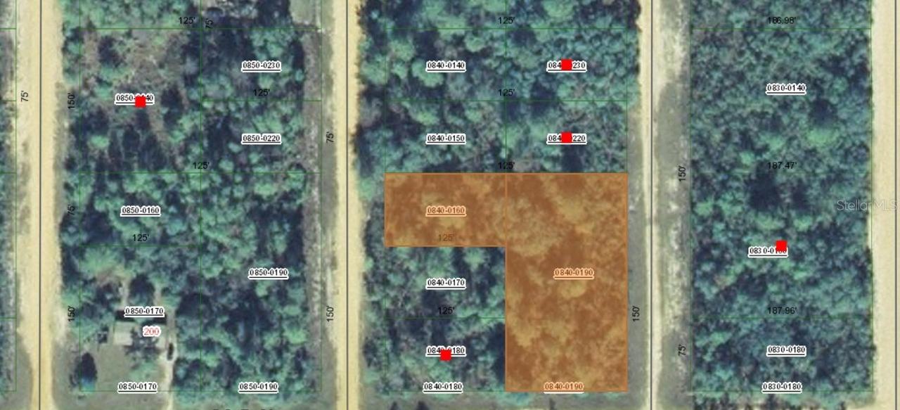 00 Creager Avenue, Interlachen, FL 32148