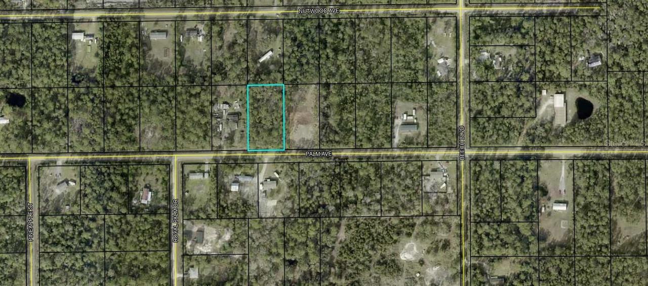 5638 Palm Ave., Bunnell, FL 32110