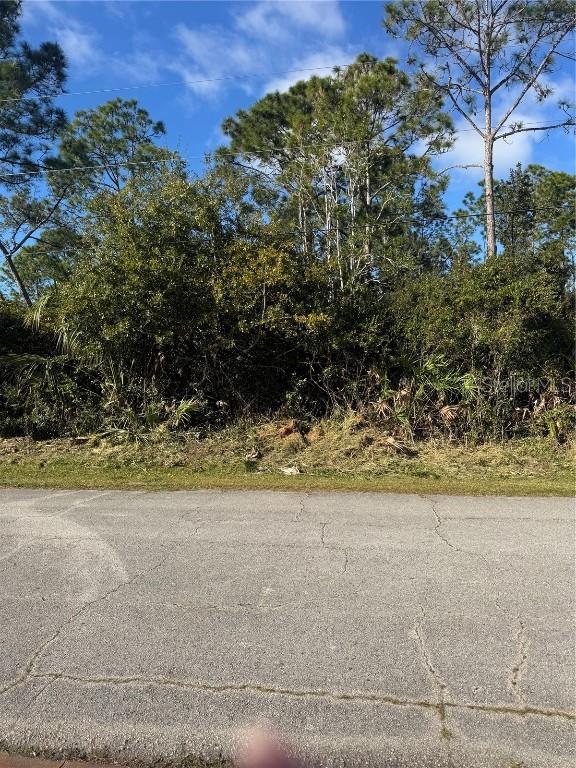 50 Wheeling Ln., Palm Coast, FL 32164