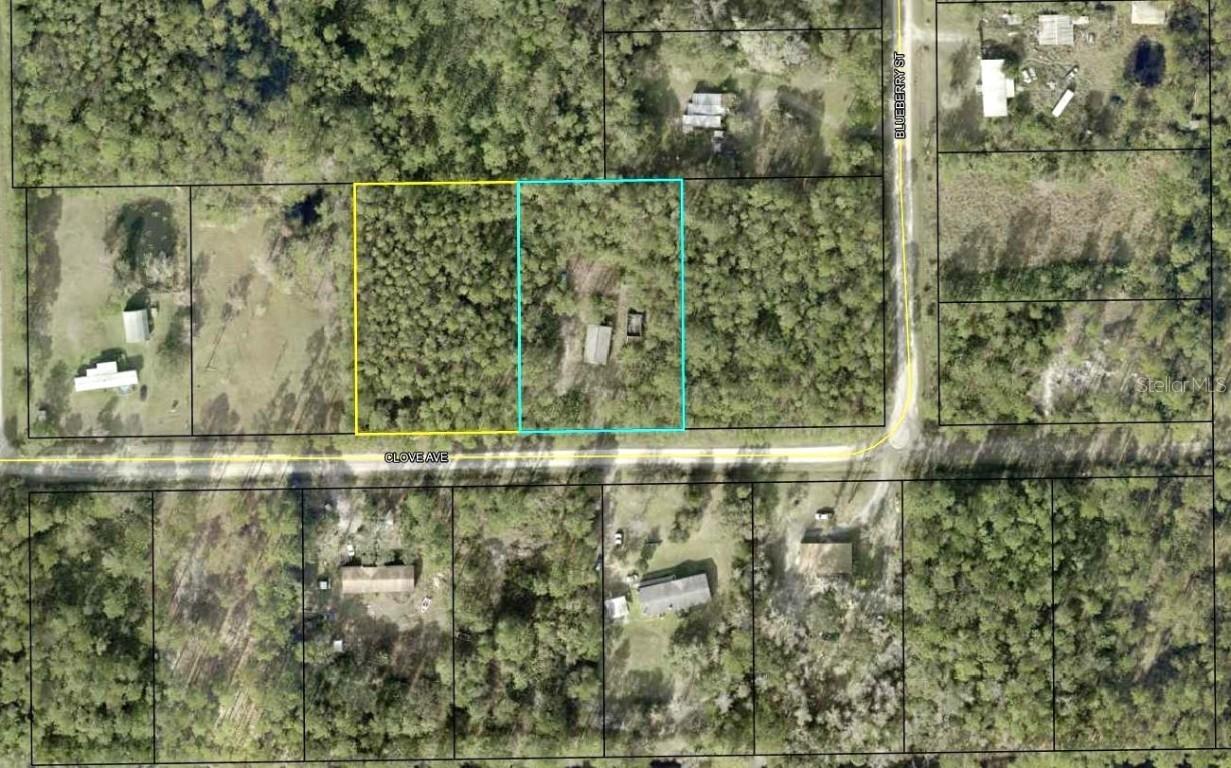 4374 Clove Ave., Bunnell, FL 32110