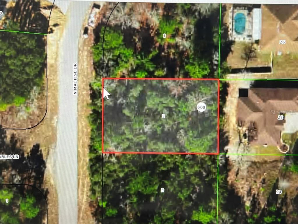 8065 N Maltese Dr., Citrus Springs, FL 34433