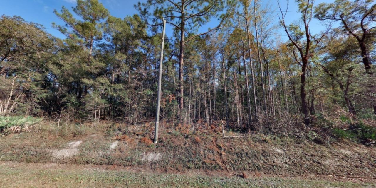 10410 Vaughan Ave., Hastings, FL 32145