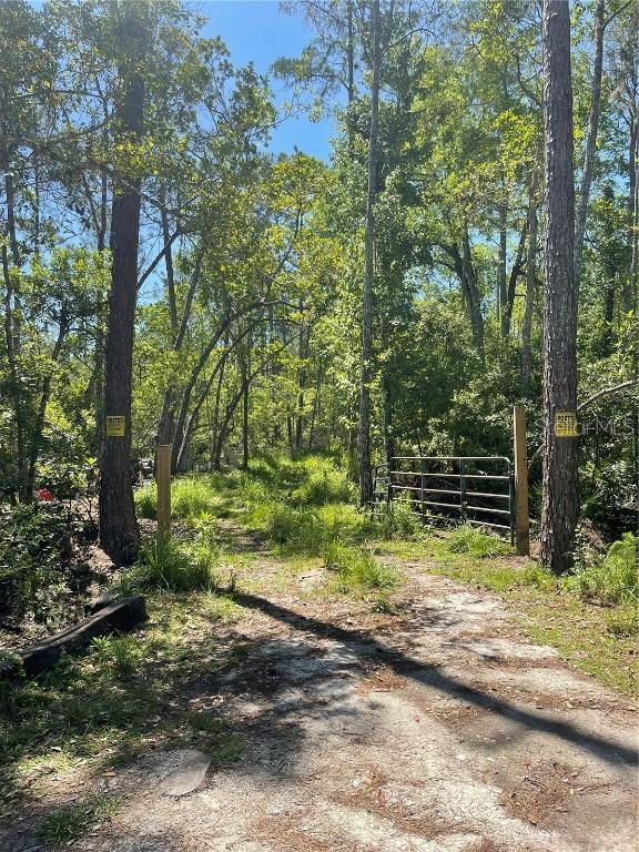 3781 Pine Pitch Ct., Ormond Beach, FL 32174