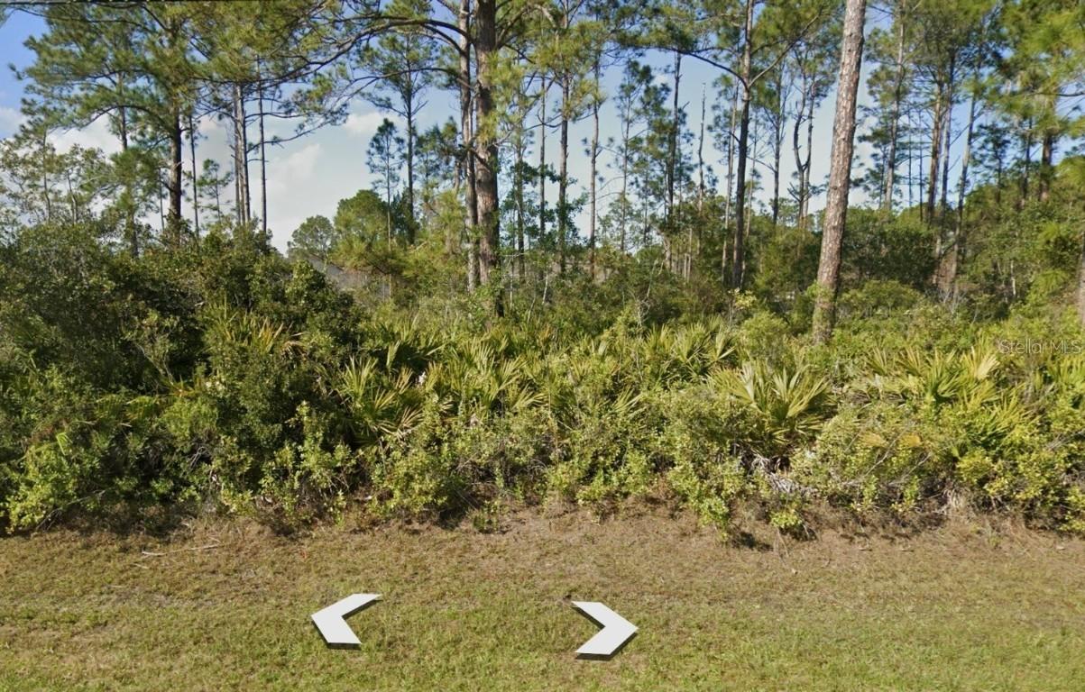 65 Sea Tr., Palm Coast, FL 32164