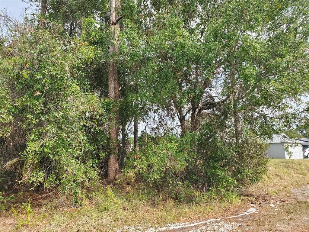 1009 SW Castaneda Ln., Port St Lucie, FL 34953