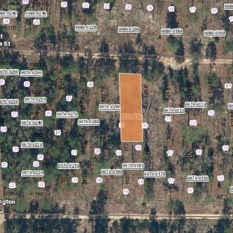 129 West Virginia St., Hawthorne, FL 32640