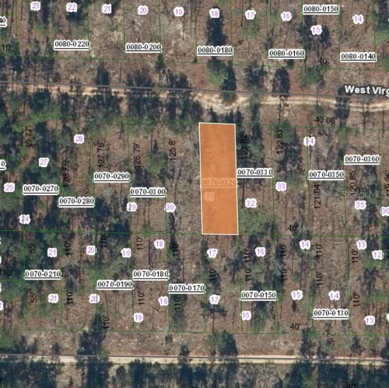 125 West Virginia St., Hawthorne, FL 32640