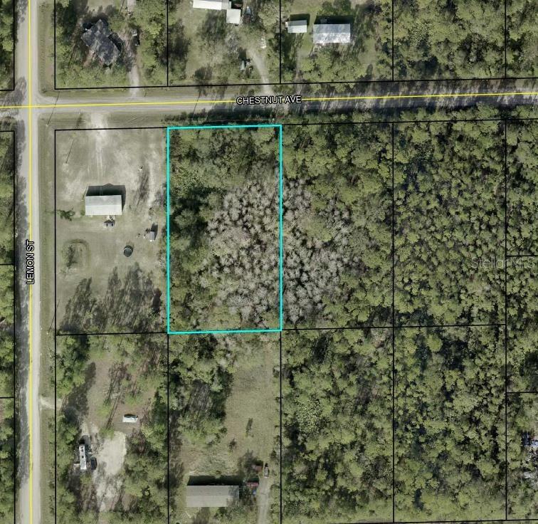 5603 Chestnut Ave., Bunnell, FL 32110