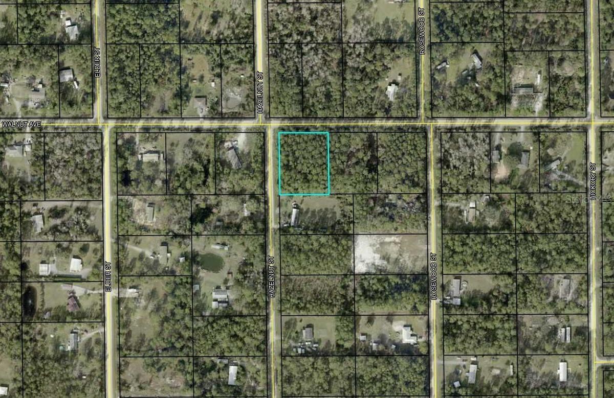 4681 Walnut Ave., Bunnell, FL 32110