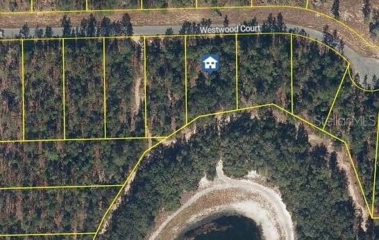 115 Westwood Ct., Interlachen, FL 32148