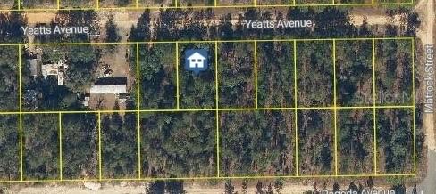 111 Yeatts Ave., Interlachen, FL 32148