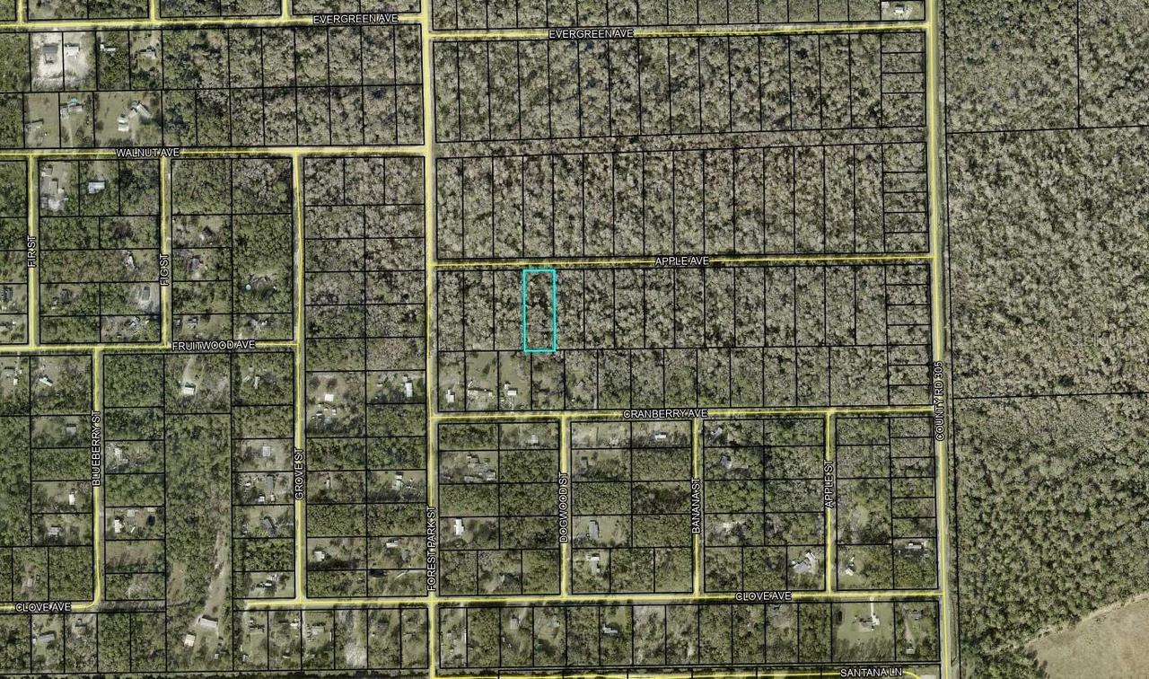 3853 Apple Ave., Bunnell, FL 32110