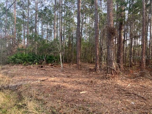 4515 Mahogany Blvd., Bunnell, FL 32110