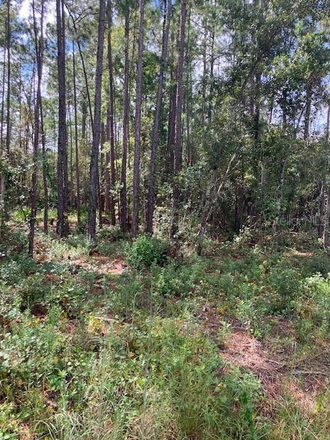 4515 Mahogany Blvd., Bunnell, FL 32110