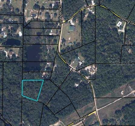 Stoney Ln., Middleburg, FL 32068