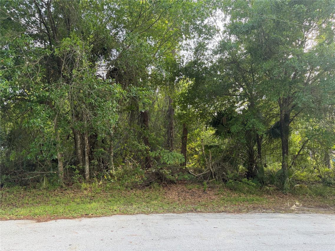 11 Patrick Pl., Palm Coast, FL 32164