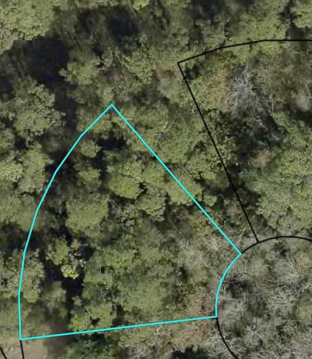 Xxxx Z Section, Palm Coast, FL 32137