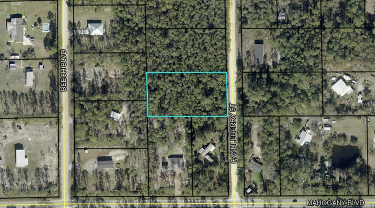 1402 Candleberry St., Bunnell, FL 32110