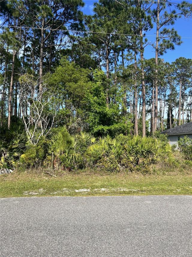 153 Ullian Tr., Palm Coast, FL 32164