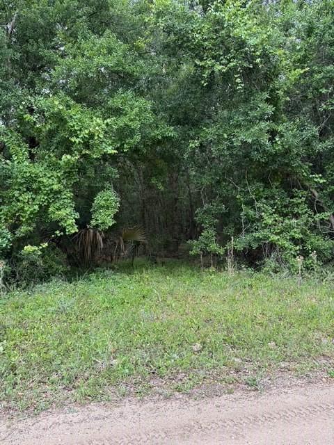 190 Catherine St., Bunnell, FL 32110