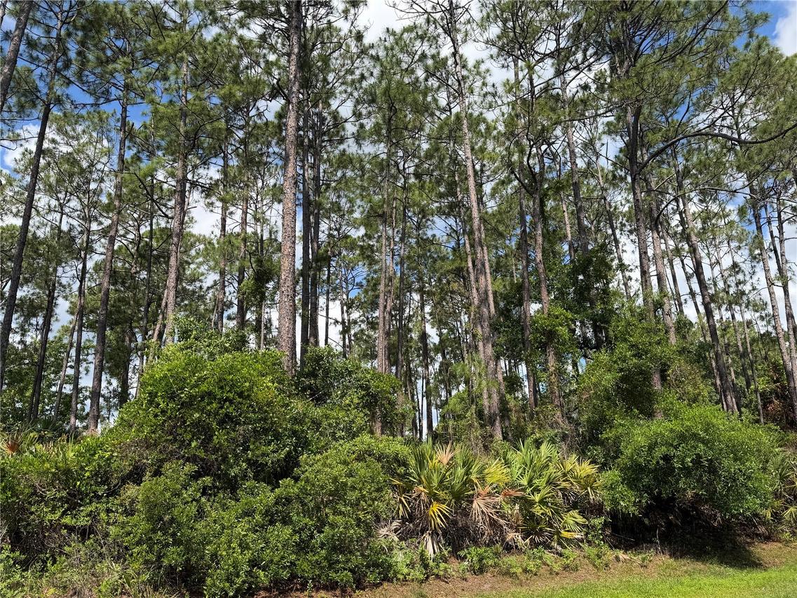 3 Largo Pl., Palm Coast, FL 32137