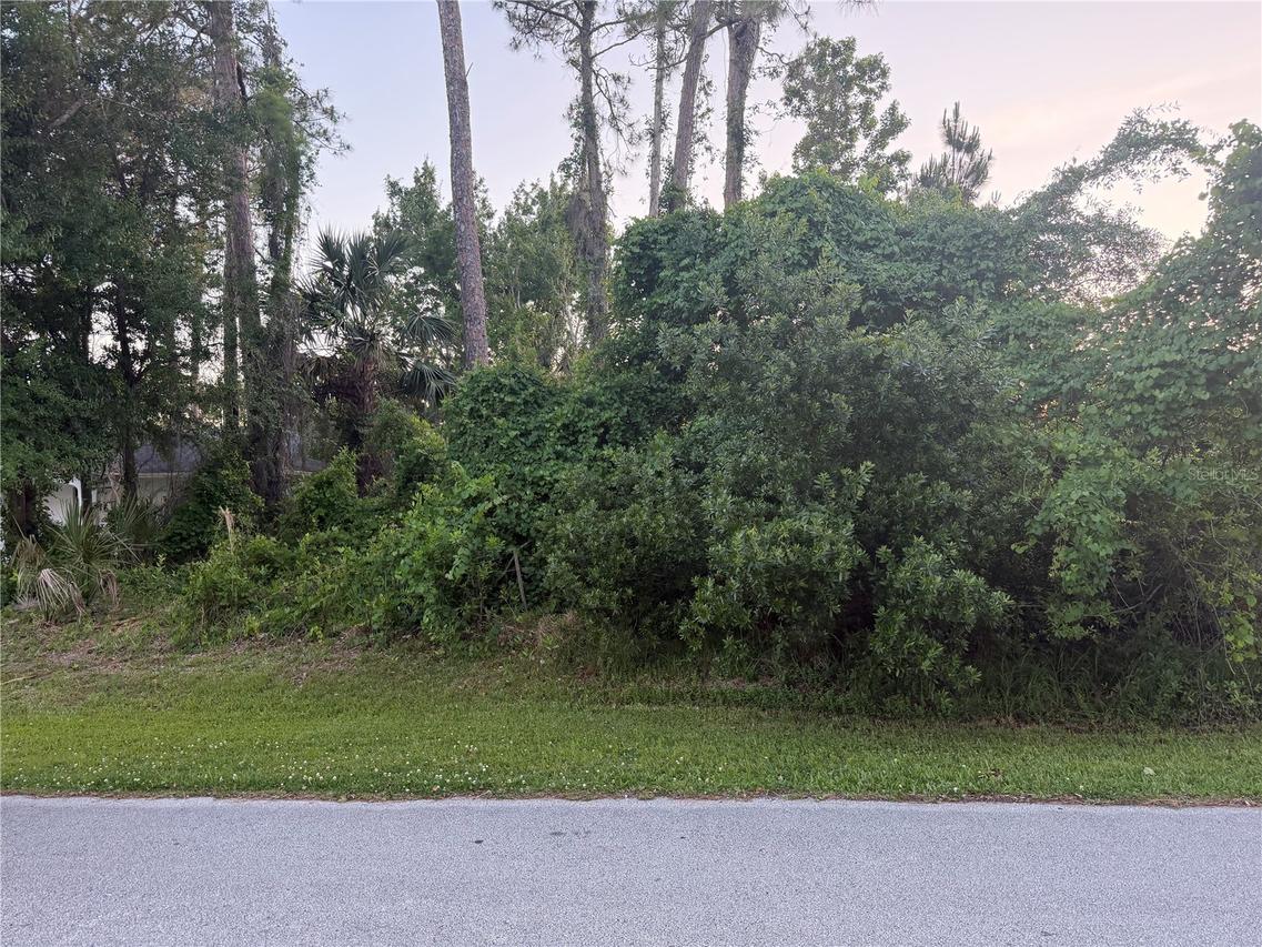41 Woodlyn Ln., Palm Coast, FL 32164