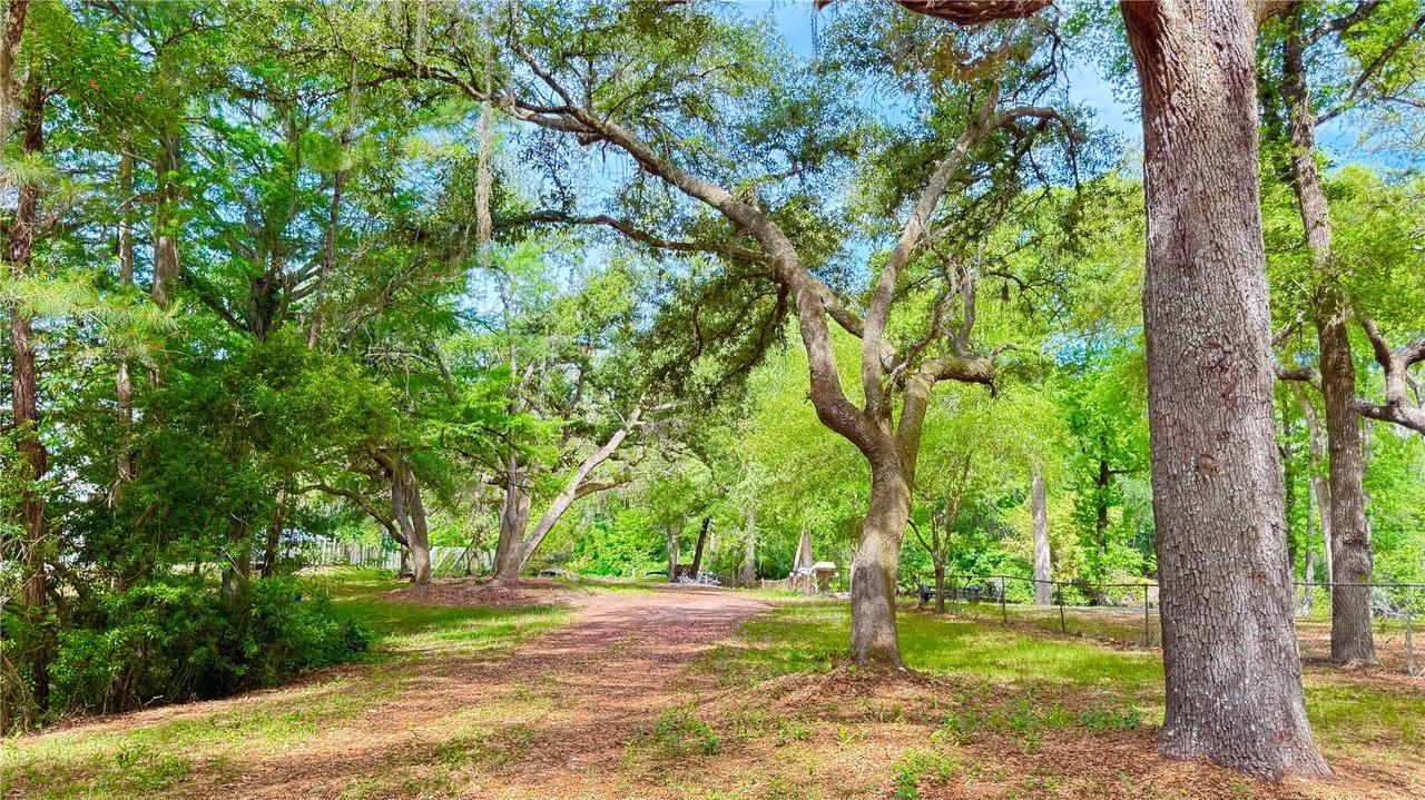 2905 Creek St., Middleburg, FL 32068