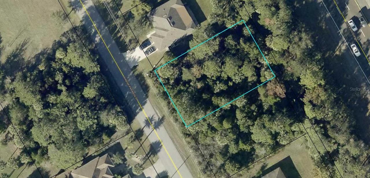 176 Bird Of Paradise Dr., Palm Coast, FL 32137