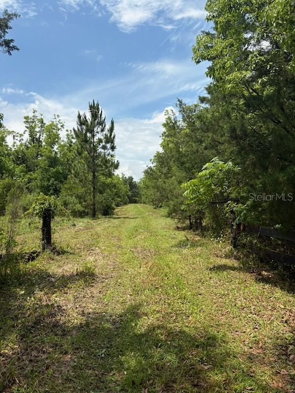 459 County Road 2006, Bunnell, FL 32110