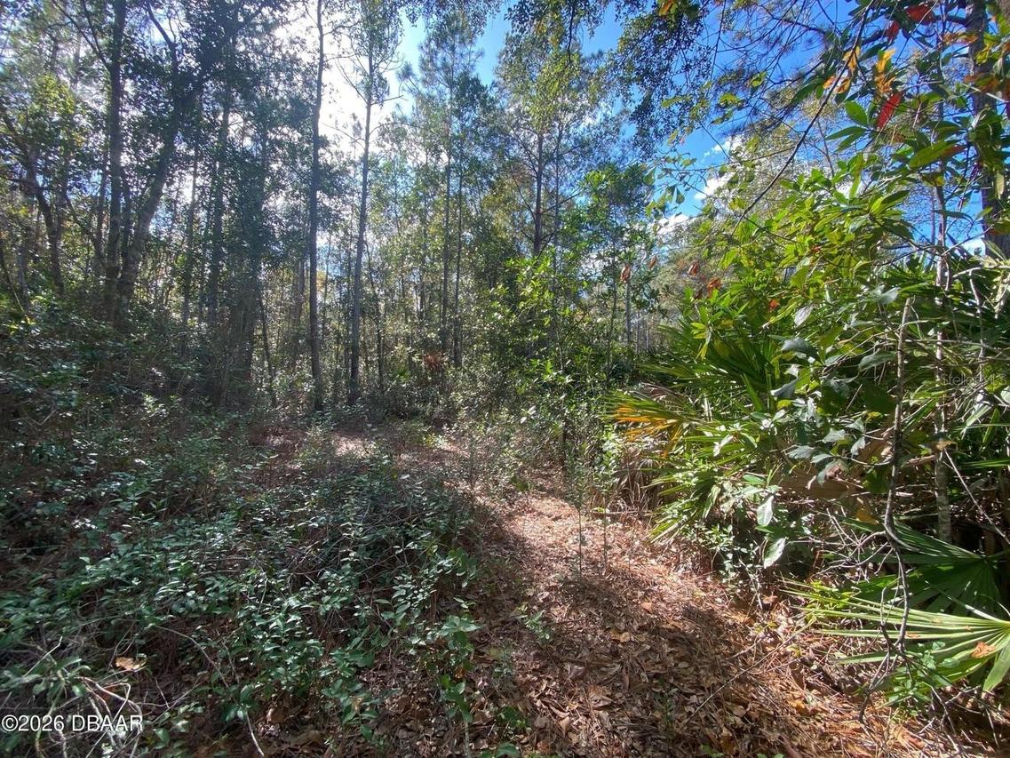 820 Old Bubbly Rd., Pierson, FL 32180