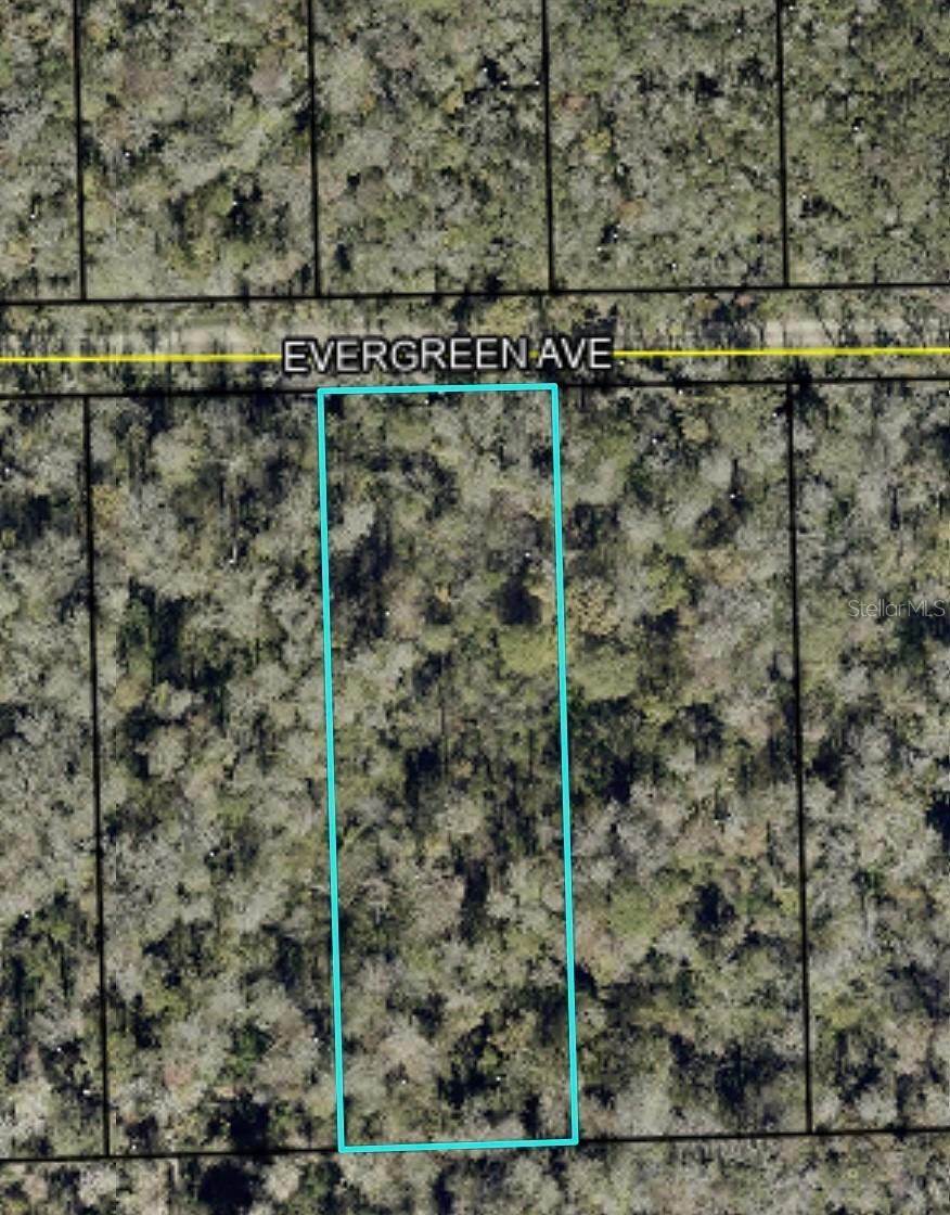3741 Evergreen Ave., Bunnell, FL 32110