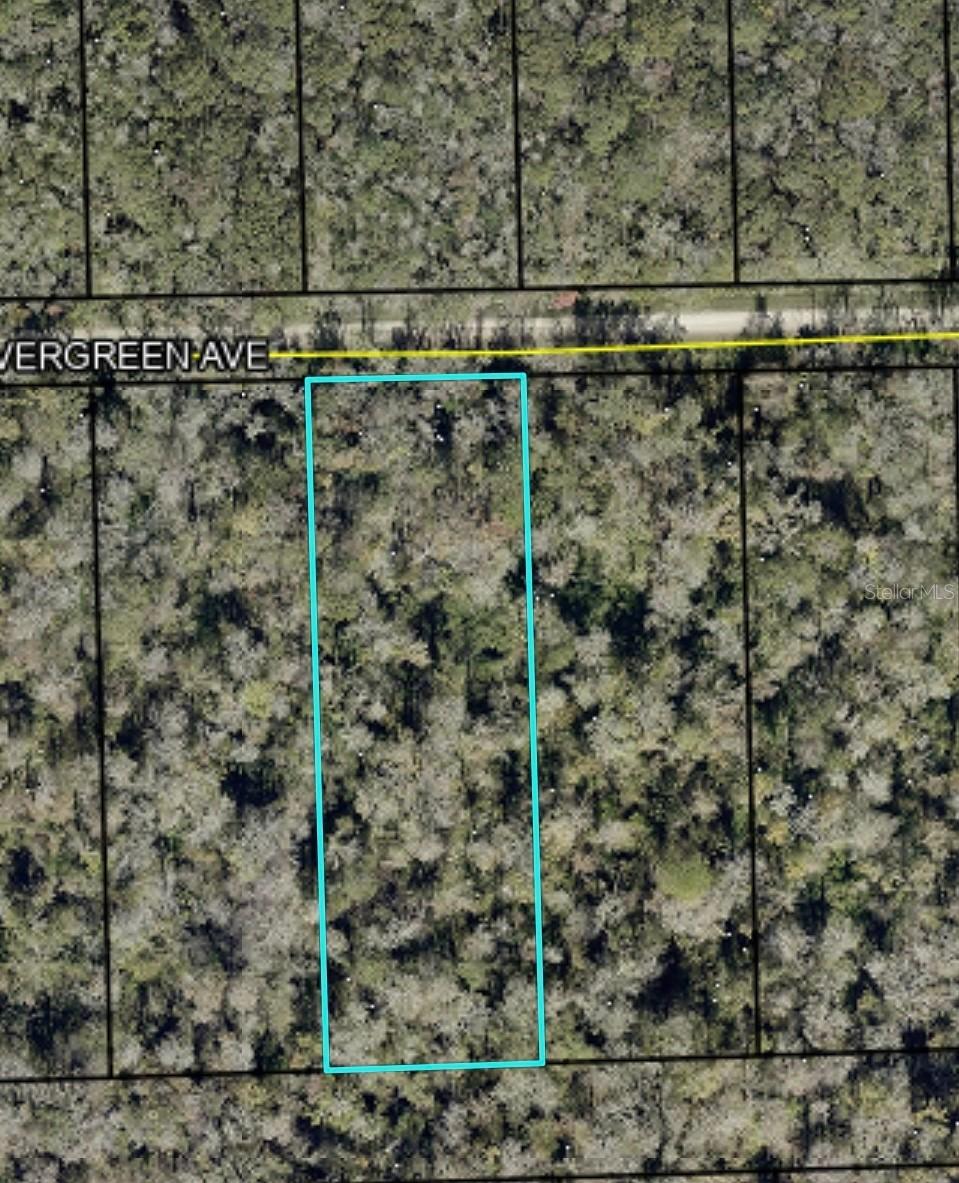 3655 Evergreen Ave., Bunnell, FL 32110