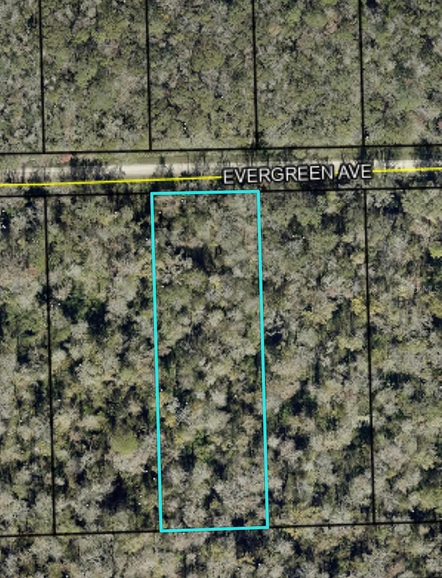 3599 Evergreen Ave., Bunnell, FL 32110
