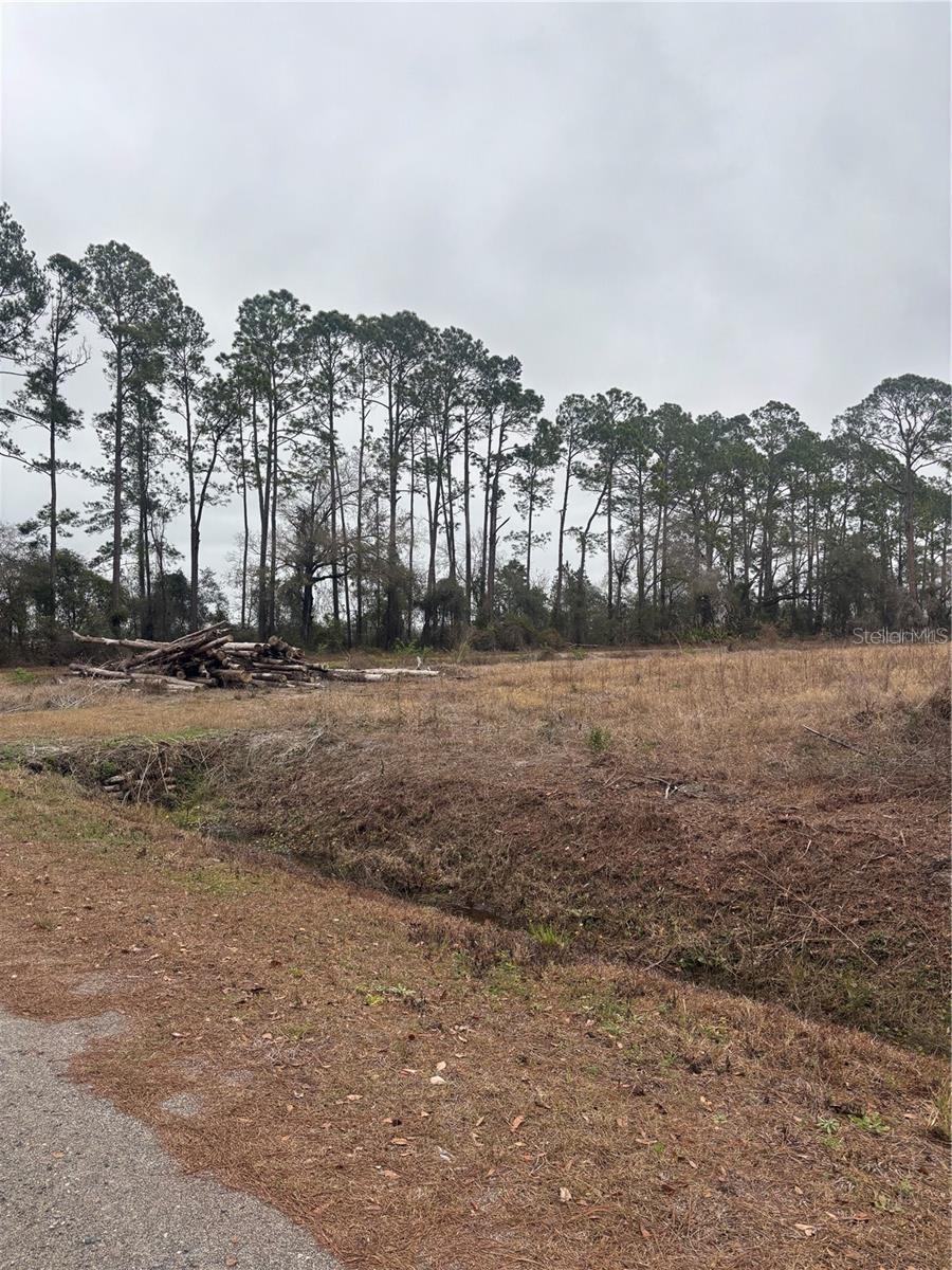 9600 Light Ave., Hastings, FL 32145