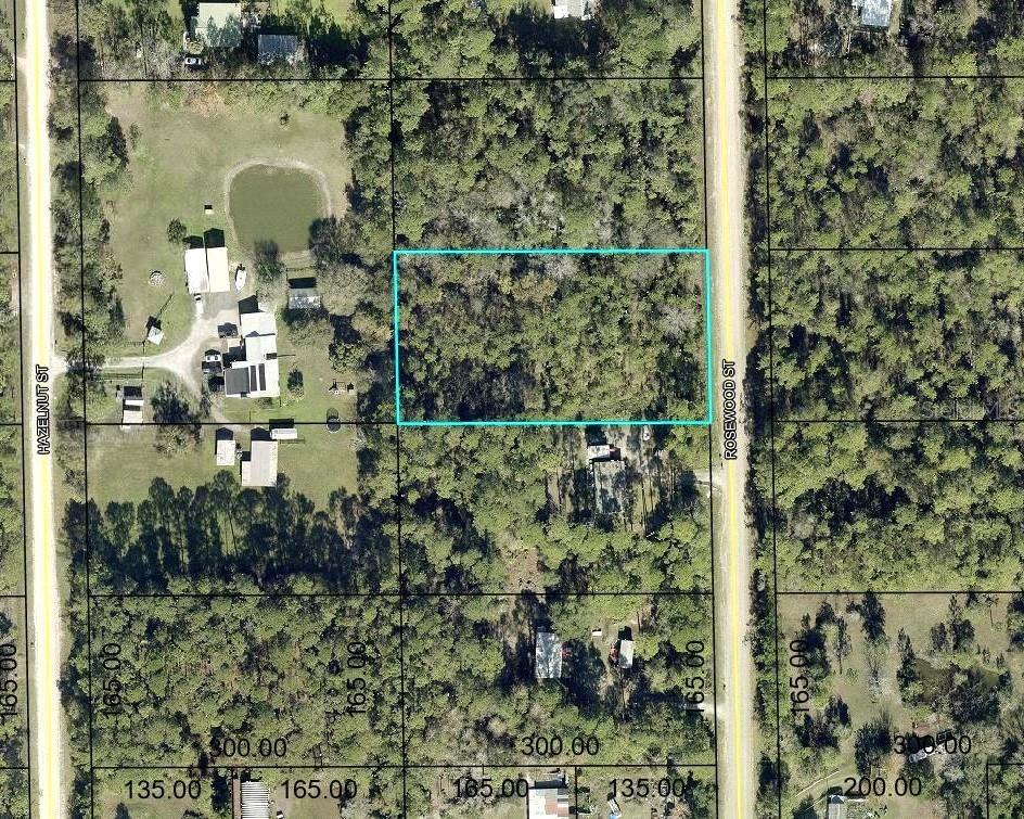 1352 Rosewood St., Bunnell, FL 32110