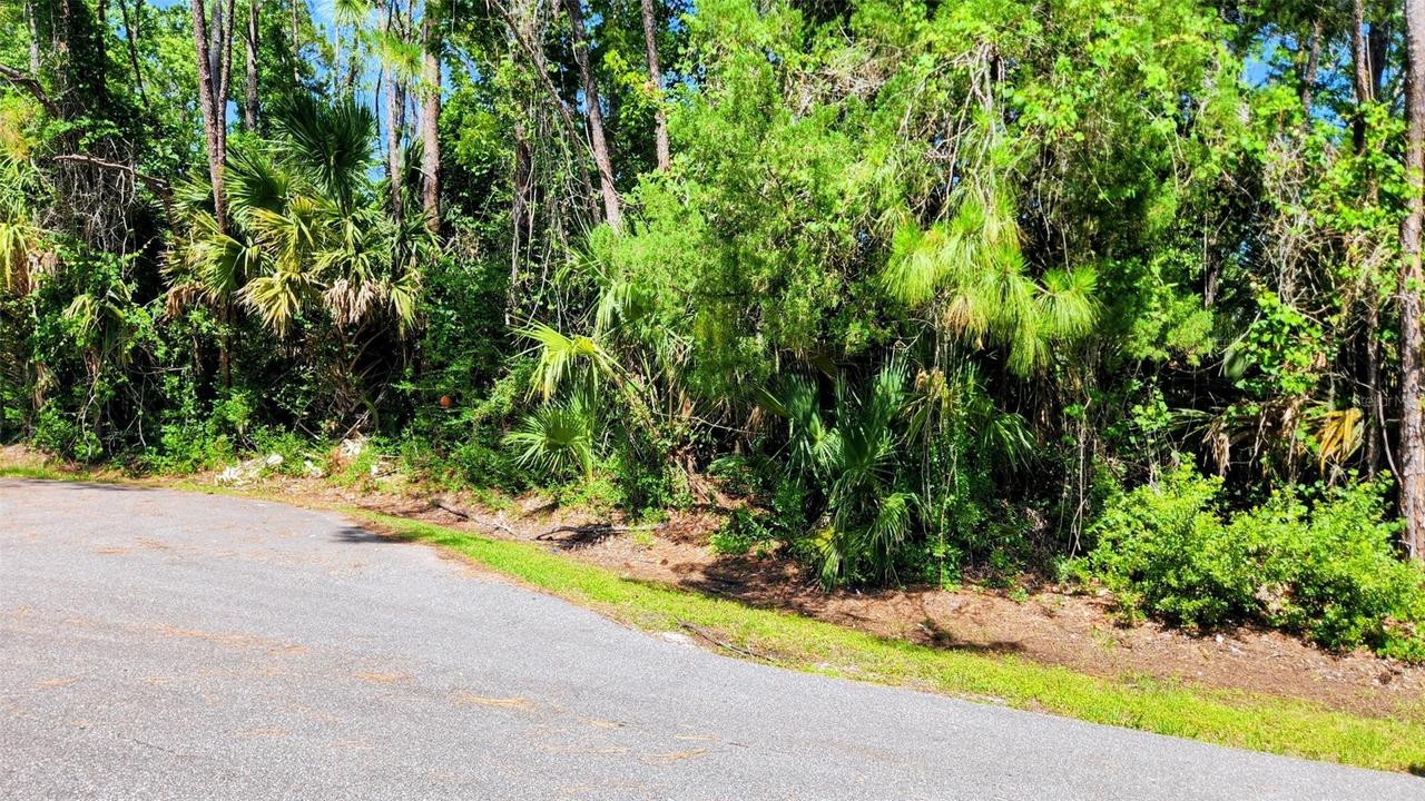 6 Rybar Pl., Palm Coast, FL 32164