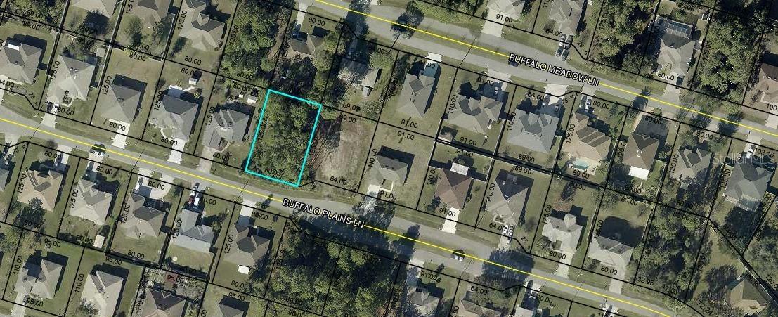 18 Buffalo Plains Ln., Palm Coast, FL 32137