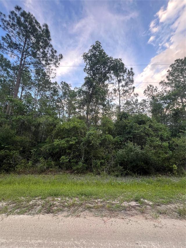 1411 Elder St., Bunnell, FL 32110